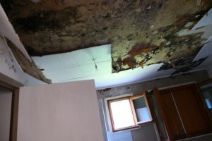 SUTTER EXPERTISES (2)